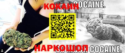 стафф Ставрополь