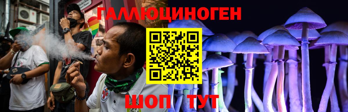 Псилоцибиновые грибы GOLDEN TEACHER Отрадный